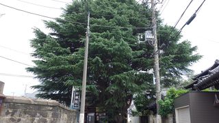 谷中のランドマーク