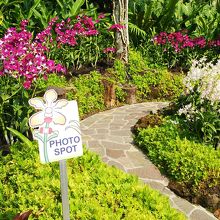 フォトポイントがわかりやすくありました