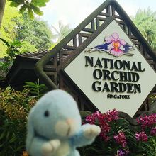 こちらだけ、有料です。