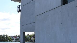 カモがたくさん