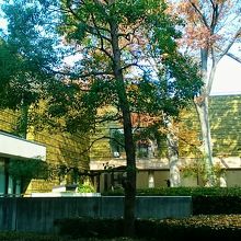 カフェ「すいれん」から見る中庭の景色