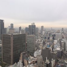 高層部からは実に良い眺望が楽しめますよ。