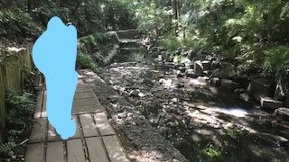 夏は陽射しを避け、冬は陽の光を提供