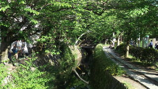 自然を感じながら散策