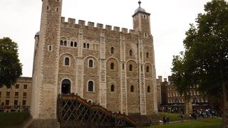 見どころがたくさん