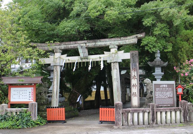 椙本神社 クチコミ アクセス 営業時間 いの町 土佐町 フォートラベル