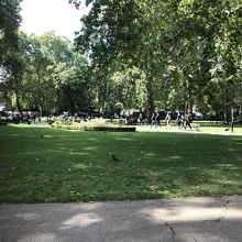 緑が広がります