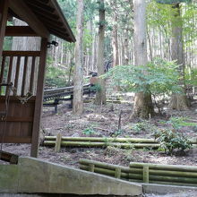 モノレールで、登れます