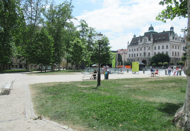 街の中心の公園