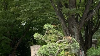 三島駅南口からすぐ