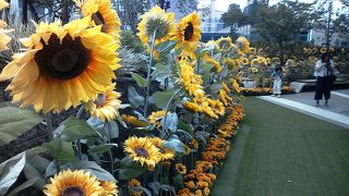 屋外庭園があります。お庭がきれいです