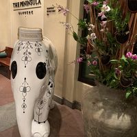 ボート乗り場のゾウさん