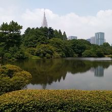 日本庭園と新宿の高層ビル