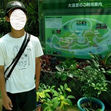 暑かった温室内の案内板　蓮の花が咲いていました