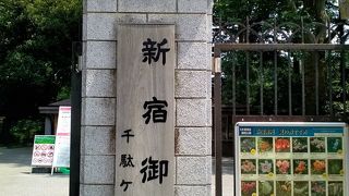 思い出の新宿御苑を孫と廻りました!!