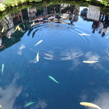 この池は私有地ですが、観光客多し。