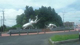 銀色のカブトムシ