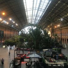 ドーム形駅舎は植物園 By Tenkuusogo マドリード プエルタ デ アトーチャ駅 Ave のクチコミ フォートラベル ドーム形駅舎は植物園 By Tenkuusogo マドリード プエルタ デ アトーチャ駅 Ave のクチコミ フォートラベル