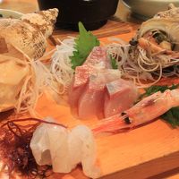 日本海の魚のお刺身　この他カサゴの焼魚や水蛸のしゃぶしゃぶも