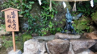 最強のパワースポット・那智滝を間近で拝める神社