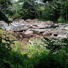 上流の方の河原を散策出来ます