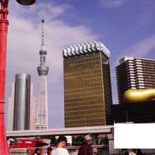 スカイツリーなどが聳えるのを見ながら渡れます