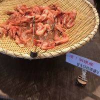 甘エビ（朝食バイキング）