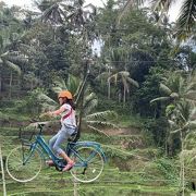 空飛ぶ自転車