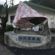 加計呂麻島ハーフマラソン