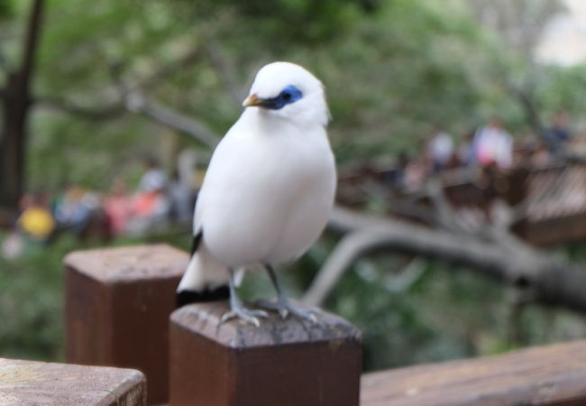 尤徳観鳥園