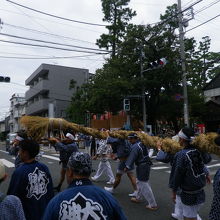 九品仏の参道前を曲がる大蛇