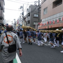 蛇行する大蛇「わっしょい、わっしょい」