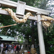 鳥居に巻き付いているのは、1年間本殿に安置されていた大蛇