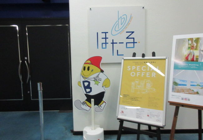 平日夜は客が5人！？最初は誰もいないかと思った・・空いていて、星座の歴史のお勉強しました。