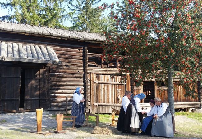 スカンセン野外博物館 クチコミ アクセス 営業時間 ストックホルム フォートラベル