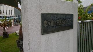 海の中にいるみたい。