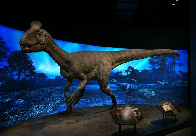 ロスアンゼルス自然史博物館 クチコミ アクセス 営業時間 ロサンゼルス フォートラベル ロスアンゼルス自然史博物館 クチコミ アクセス 営業時間 ロサンゼルス フォートラベル