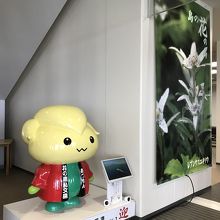 礼文のご当地キャラがお出迎え