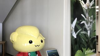 礼文のフェリーターミナル