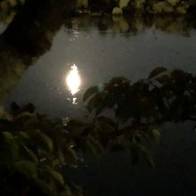 水面に映る名月