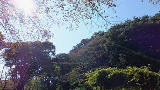 緑深いいこいの場