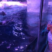 地下の水族館は珍しいですよね！