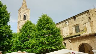 S.フランチェスコ教会 (ウルビーノ)