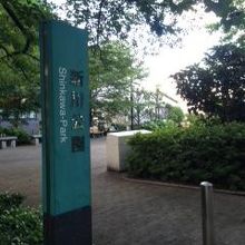 新川公園の様子