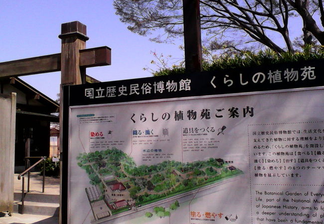 国立歴史民俗博物館 くらしの植物苑 クチコミ アクセス 営業時間 佐倉 四街道 フォートラベル 国立歴史民俗博物館 くらしの植物苑 クチコミ アクセス 営業時間 佐倉 四街道 フォートラベル