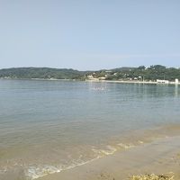 初音旅館の裏の海岸線、とても穏やかでカモメが海面で休んでいま