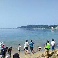 ２つの舟が湾内に網を海にしかけていきます