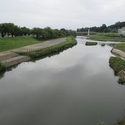 志木市を流れている新河岸川を見ました