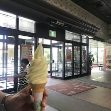 シークヮ―サーソフト