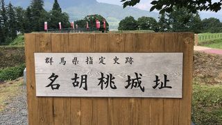 無料ガイドさんもいました